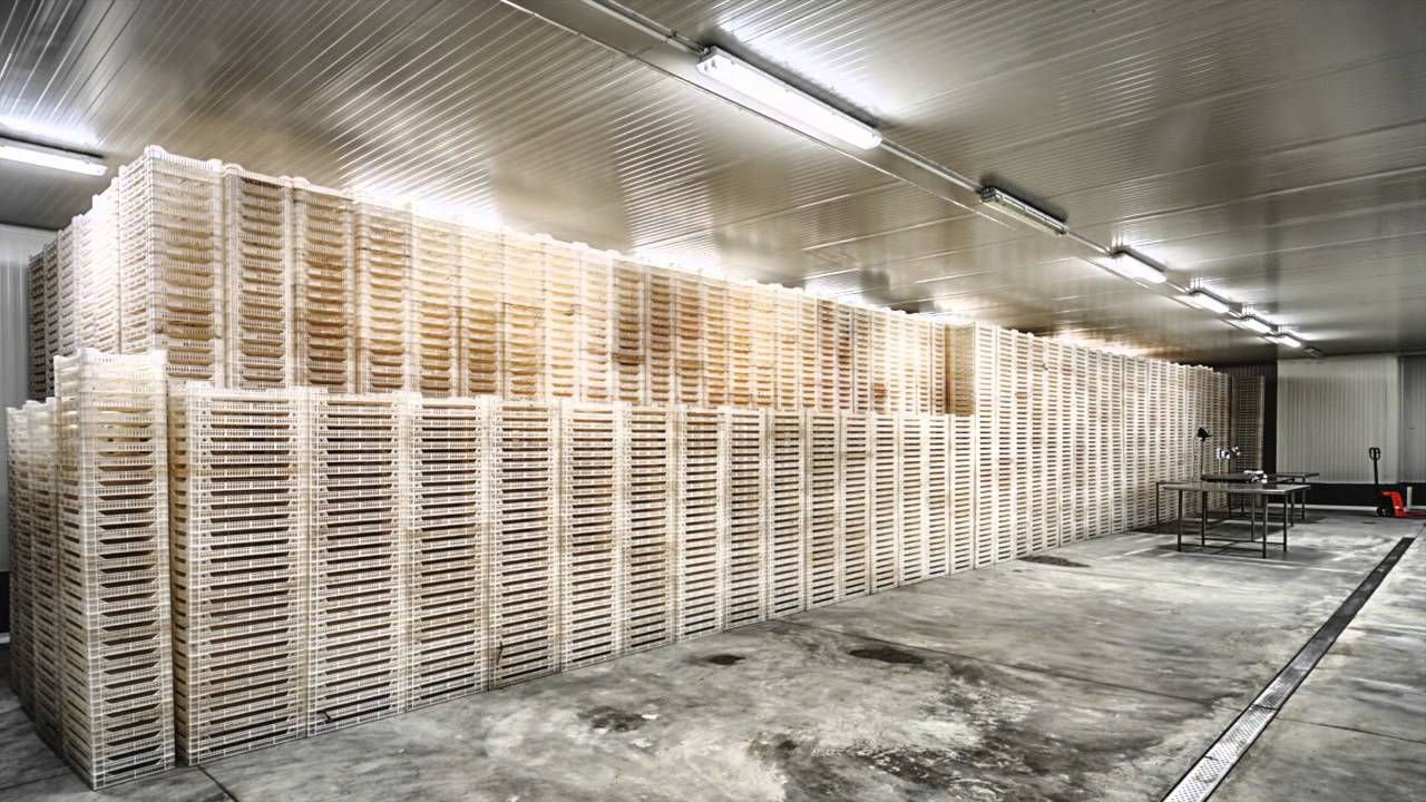 A warehouse with an extreme climate